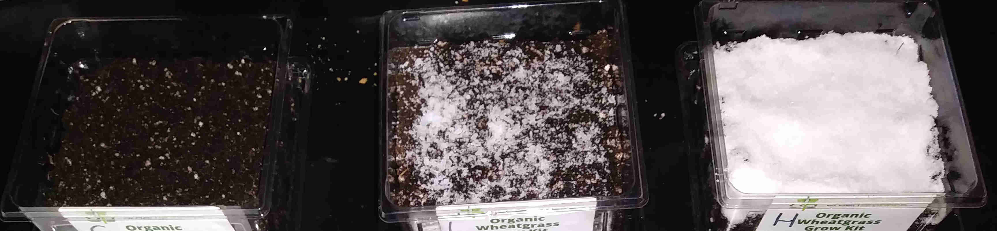 Three containers showing amount of salt